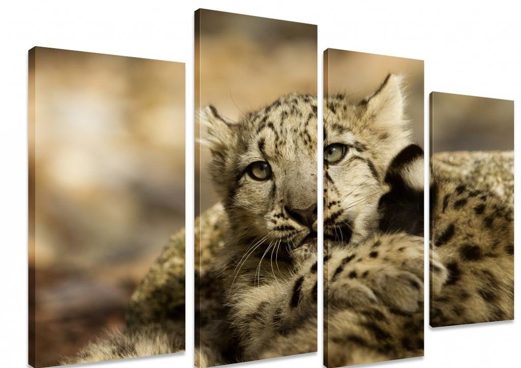  "Immagine Art Depot Outlet: multi split pannello canvas Young Snow Leopard cub Animal Big Cat Wild Endangered 4 pannell